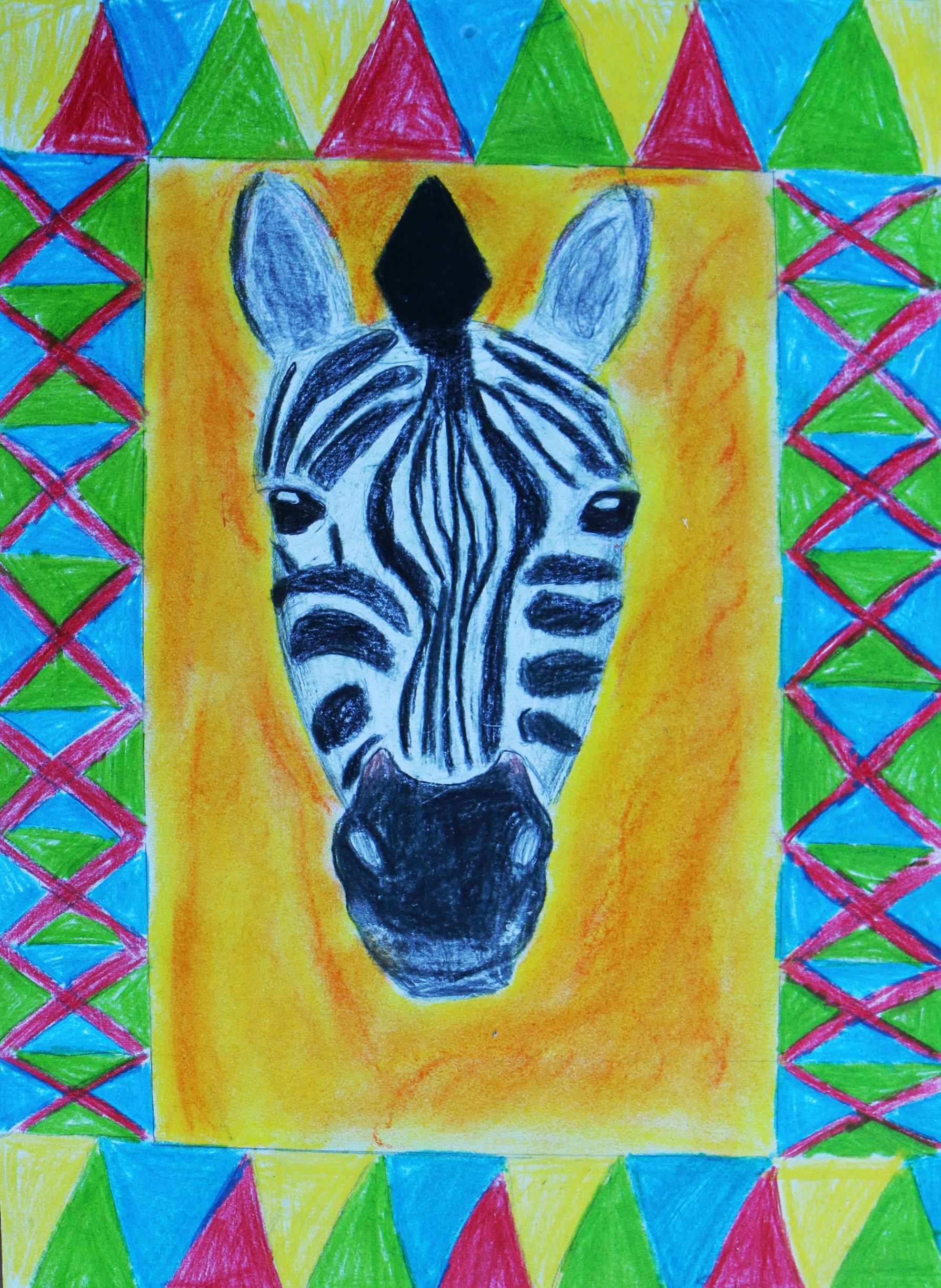 Barevná zebra