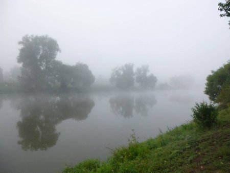 Gymnázium - Berounka - kvinty