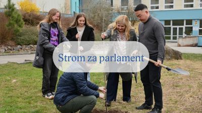 &Scaron;vestka pro parlament