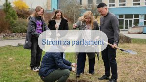 &Scaron;vestka pro parlament