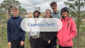 Bronzová expedice DofE