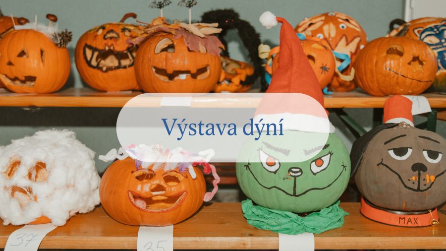 V&yacute;stava d&yacute;n&iacute;